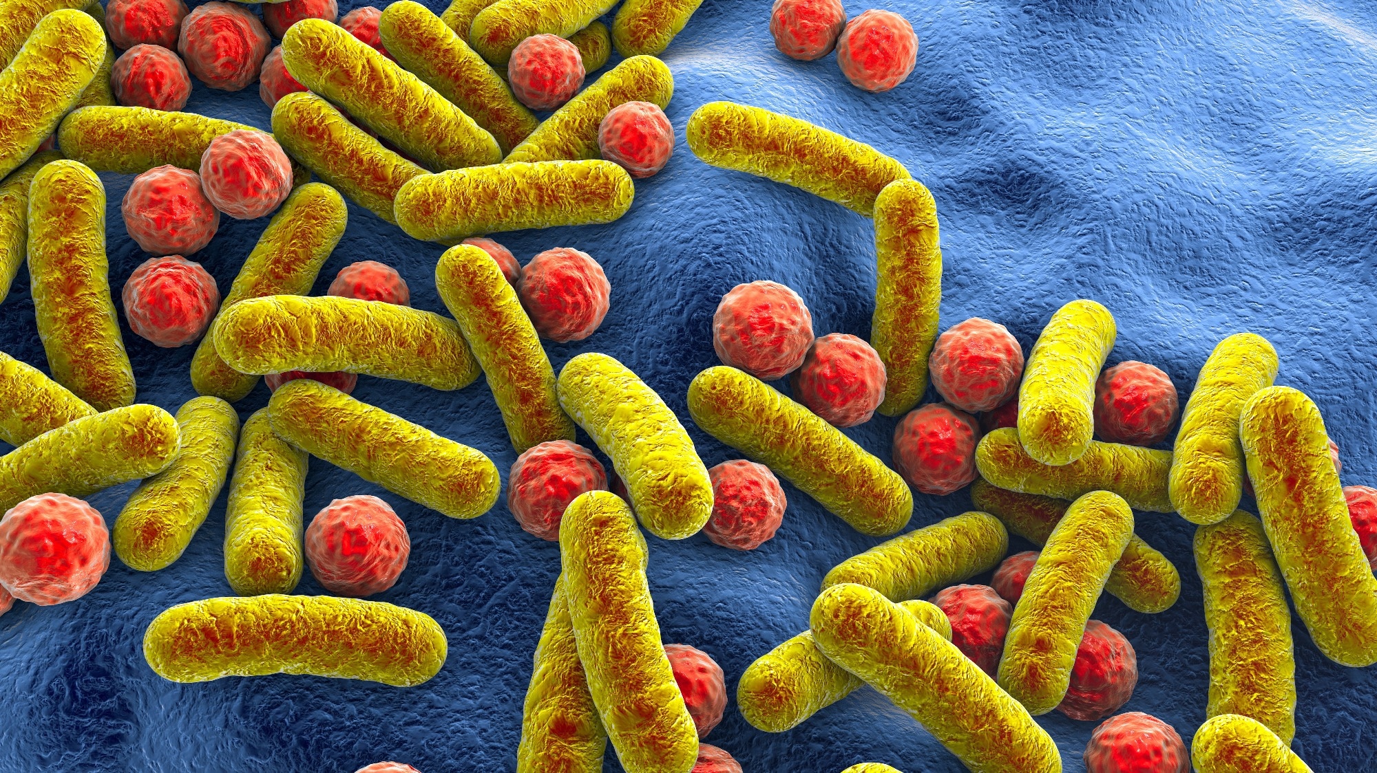 Study: Mother’s milk microbiota is associated with the developing gut microbial consortia in very-low-birth-weight infants. Image Credit: Kateryna Kon / Shutterstock