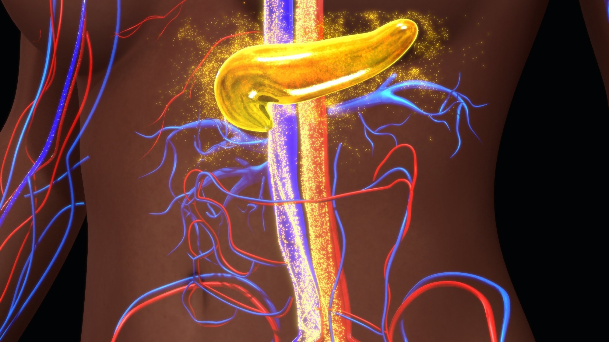 Study: Bidirectional association between inflammatory bowel disease and type 1 diabetes: a nationwide matched cohort and case-control study. Image Credit: sciencepics / Shutterstock
