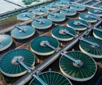 Wastewater surveillance detects influenza and H5 viruses from human and animal sources