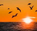 H5N1 bird flu is mutating fast and jumping to mammals - could the next pandemic be here?