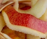 Combining apple peel and mistletoe extracts to boost muscle health and endurance