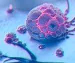 When CDK12/13 stalls, healthy prostate cells take a malignant turn