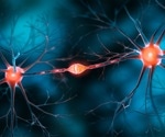 Liver X receptor beta offers new hope in treating depression and anxiety