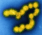 US study uncovers antiviral resistance in swine-origin influenza, urging enhanced pandemic surveillance