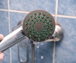 Your bathroom is a hidden haven of untapped viral biodiversity