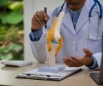 Clec14a protein found to play vital role in regulating bone formation and density