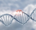 Considerations for taking ASO discovery programs into animal models