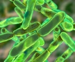Scientists discover gut microbiome differences in children with autism