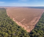 Deforestation drives a surge in malaria cases in the Amazon