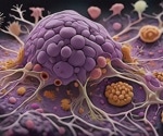 Mapping tumor microenvironments: Uncovering spatial subclones for improved cancer treatment