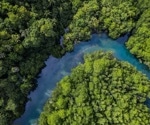 Genomic conservation in Thailand's mangroves