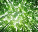 Global warming nears 1.5°C threshold, escalating health risks worldwide