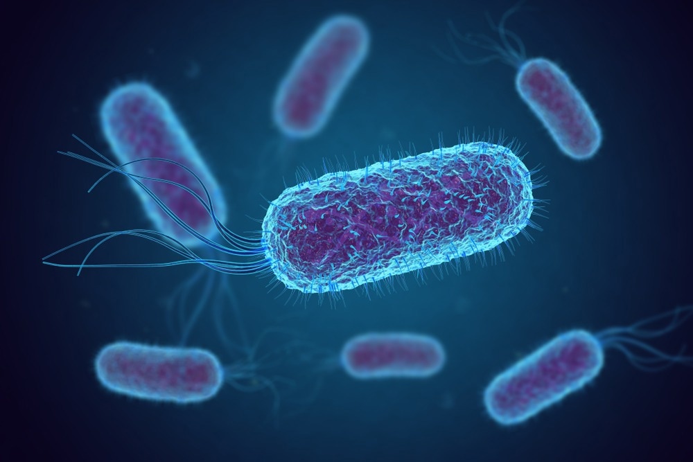Study: Colibactin-driven colon cancer requires adhesin-mediated epithelial binding. Image Credit: fusebulb/Shutterstock.com