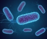How bacteria trigger colon cancer