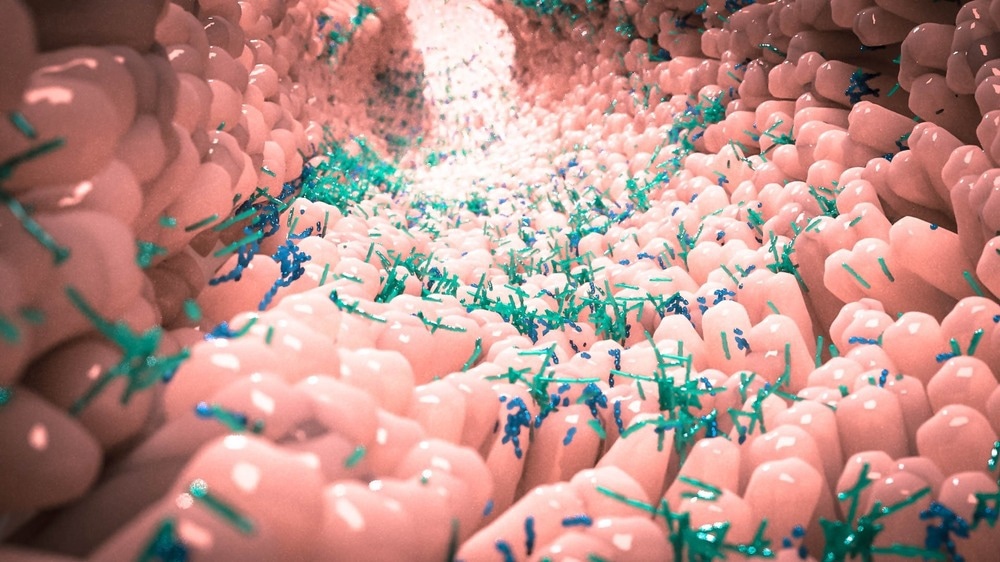 Study: Dynamics of the gut microbiome in individuals at risk of rheumatoid arthritis: a cross-sectional and longitudinal observational study. Image Credit: Alpha Tauri 3D Graphics/Shutterstock.com