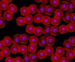 Exploring the role of confocal-based high-content imaging in advancing core facilities