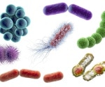 Metagenomic sequencing improves detection of rare pathogens in CNS infections