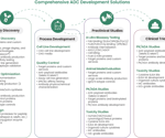 A new era of targeted therapy with antibody–drug conjugates