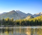 How public forests in the U.S. nourish and heal millions