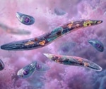 Late-liver-stage malaria vaccine delivers 89% protection and boosts cellular immunity