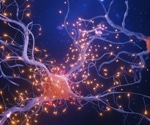 Neural connectivity predicts deep brain stimulation success in essential tremor