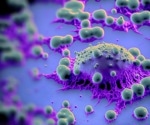 Cancer cells block T-cell activation, but new therapies restore immune defenses