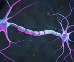 Ketone body β-hydroxybutyrate restores protein balance and targets Alzheimer’s-linked aggregates