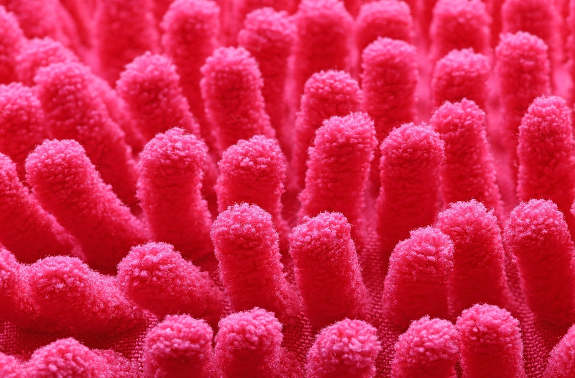 Microvilli