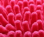 Study reveals gut microbiome’s person-specific role in glycemic sensitivity