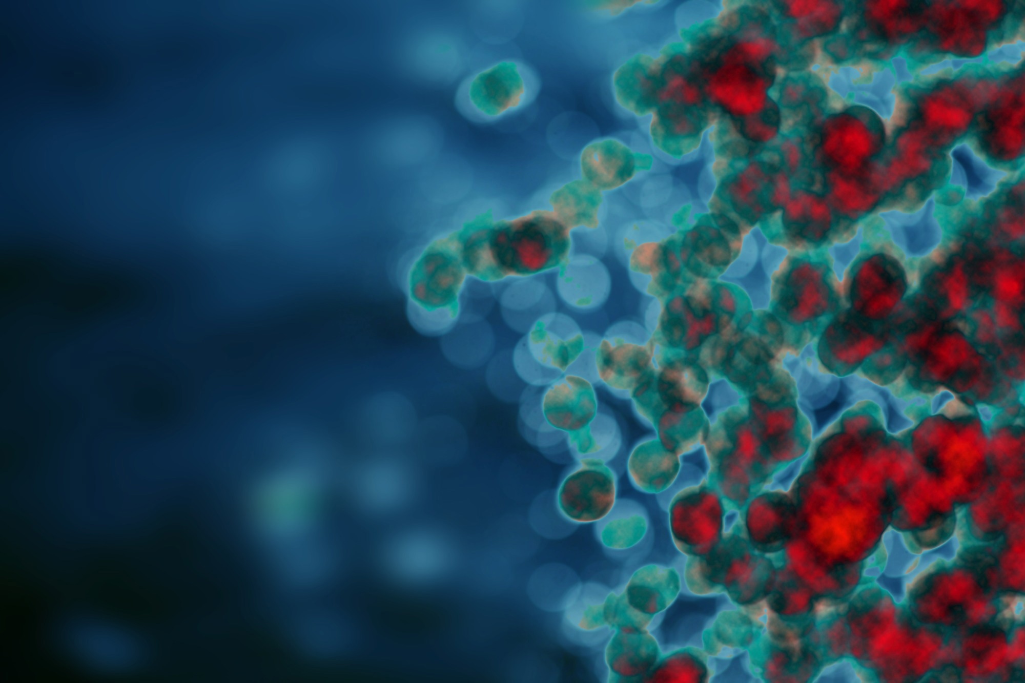 Study: Haematological setpoints are a stable and patient-specific deep phenotype. Image Credit: monofaction / Shutterstock