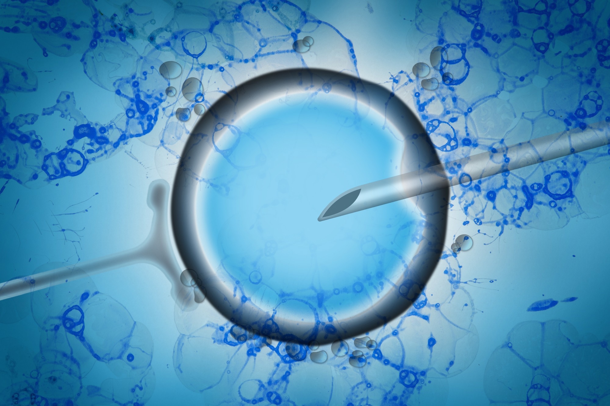 Study: Emerging therapeutic strategies to mitigate female and male reproductive aging. Image Credit: BGStock72 / Shutterstock