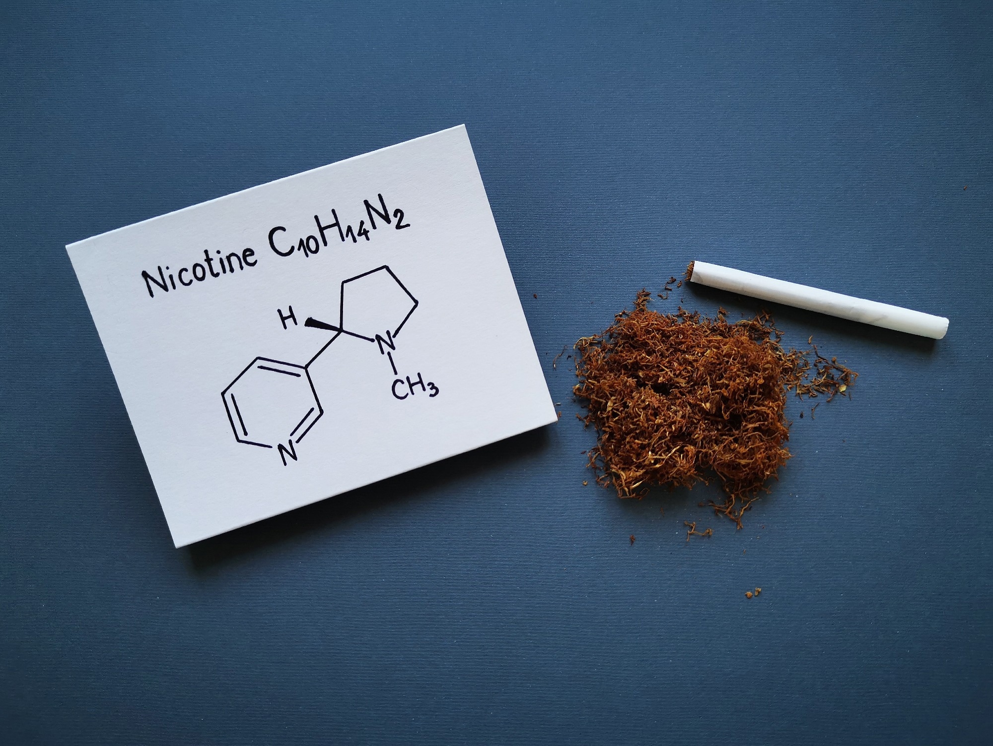 Structural chemical formula of nicotine molecule with tobacco dry heap and handmade cigarette