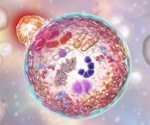Could autophagy enhancement slow aging and combat Alzheimer's?