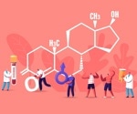 Androgen clock reveals how hormones shape aging and health