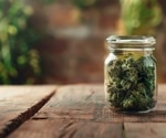 Global cannabis boom brings unexpected cardiovascular risks to light