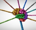 Study shows long-term cannabis use disrupts critical brain processes