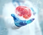 Alzheimer’s disease may leave early signs in the gut, study finds