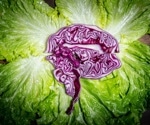 Does a vegetarian diet help or harm your brain? Here’s what the science reveals