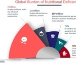 New study shows why breastfeeding and fortified foods must go hand in hand