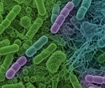 How gut health shapes heart disease risk — and what you can do about it