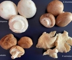 Why mushrooms could be the key to lowering salt in processed meats