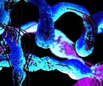 The Proteoform Puzzle: Unlocking the Next Frontier