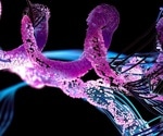 Synthetic Biology and the Pursuit of Living Diagnostics and Therapeutics
