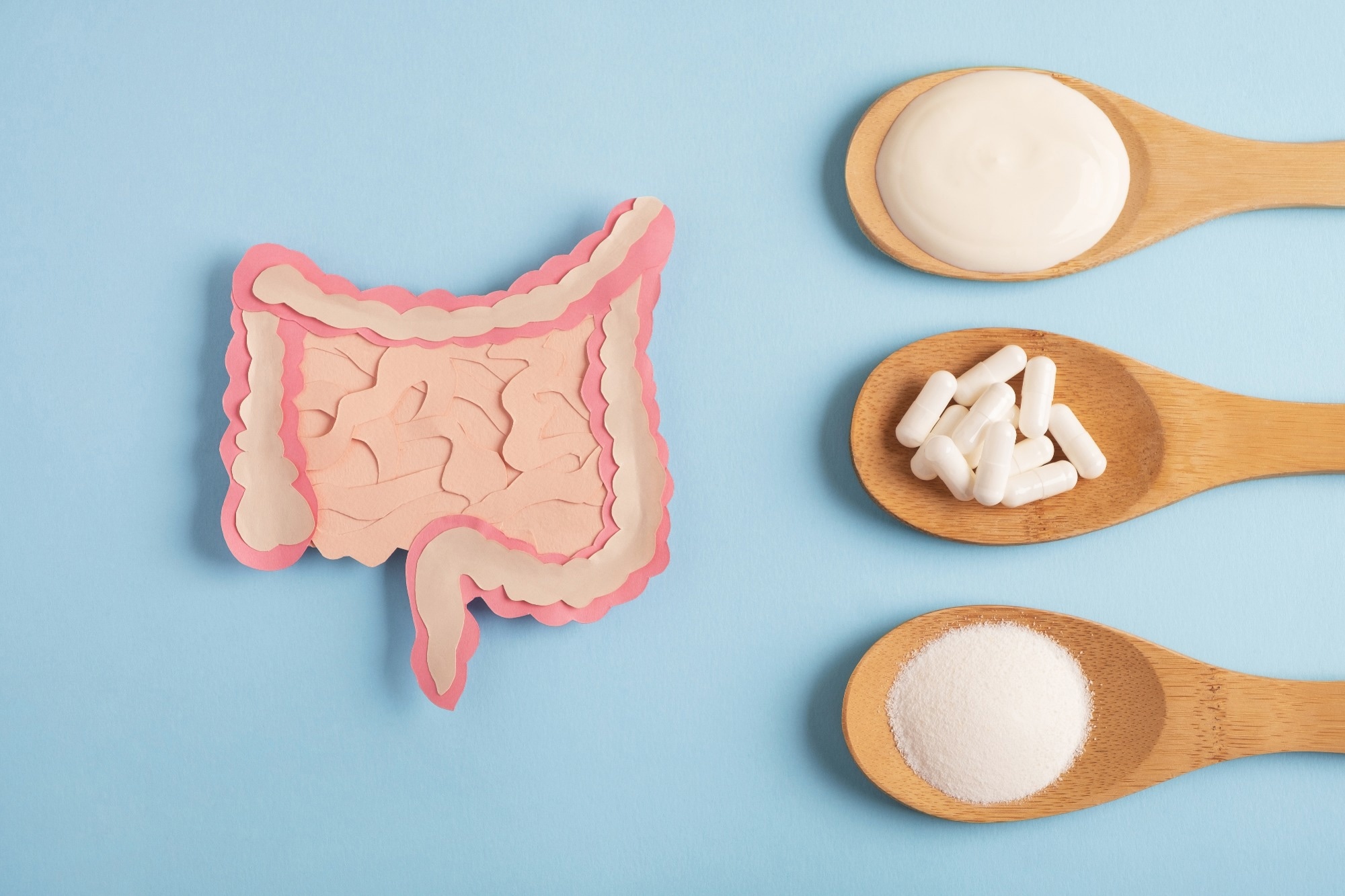 Study: Diet, microbiome, and probiotics establish a crucial link in vaccine efficacy. Image Credit: Helena Nechaeva / Shutterstock