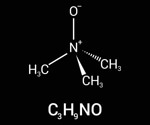 This molecule links your diet to stroke and Alzheimer’s—here’s how to stop it