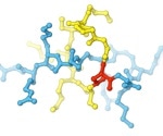 New peptide antibiotic stops bacteria by binding where no drug has before