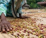 Two-week diet swap reveals stark difference: Western vs. African heritage diets on immunity