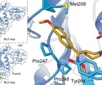 Scientists stop long-COVID symptoms in mice using a new antiviral compound
