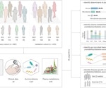 Gut microbes and metabolites reveal how lifestyle changes help prevent type 2 diabetes