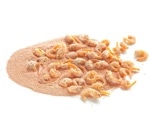 Chitosan clears microplastics from the gut in rats within days